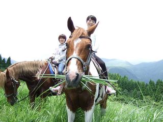 餌をむしゃむしゃ