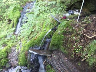 今水炭酸泉噴出し