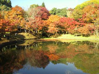 紅葉