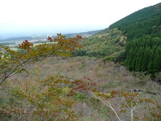 展望所からの山桜の園