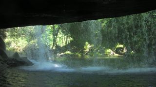 SANY0377