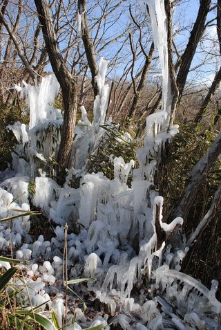 赤川氷