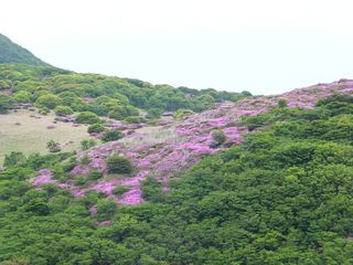 DSCF3009