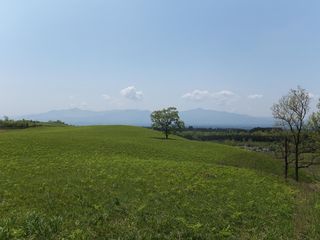 5月9日風景5