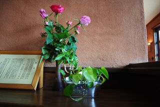 DSC_0654 DSC_0654