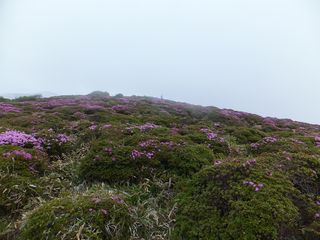 DSCF3018