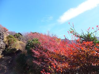 DSCF5028 DSCF5028