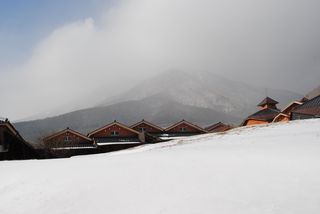 初冠雪