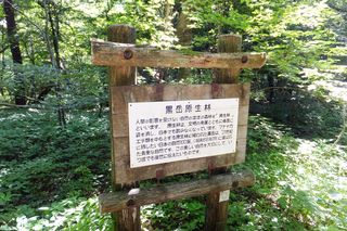 DSCF6216 DSCF6216