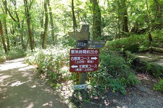 DSCF6219 DSCF6219