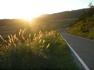 すすきと夕日(道路入)