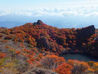 DSCF6714 - コピー DSCF6714 - コピー