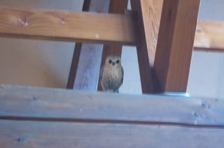 IMG_0661 IMG_0661