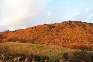 清水山