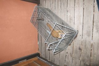 IMG_0998 IMG_0998