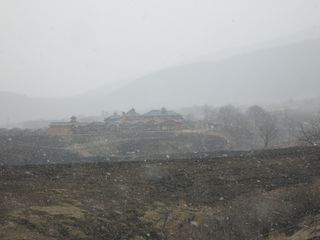 IMG_1118