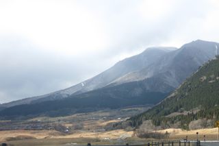 IMG_1437 IMG_1437
